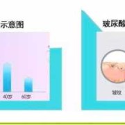 玻尿酸对胎儿（玻尿酸对胎儿有影响吗）