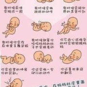 叫胎儿动（胎儿动代表什么）