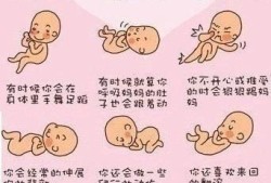 叫胎儿动（胎儿动代表什么）