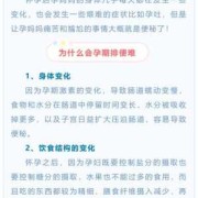 孕期排便少（孕期排便少怎么回事）