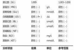 孕期尿液检查（公安尿检是什么意思）