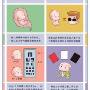 105天的宝宝视力能看多远,105天的胎儿有多大图解