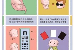 105天的宝宝视力能看多远,105天的胎儿有多大图解
