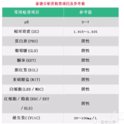 孕期尿道感染（孕妇尿常规细菌高对胎儿有影响吗）