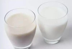孕妇每天喝豆浆好吗,豆浆和牛奶哪个长胎
