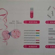 孕期基因筛查（孕期基因筛查有必要吗）