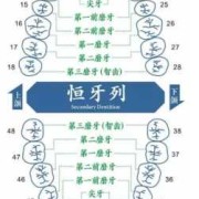 听说牙齿也可以做亲子鉴定是真的吗,