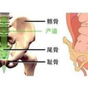 如何知道胎儿是否入盆（如何知道胎儿是否入盆了）