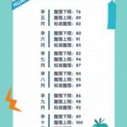 孕39周胎儿腹围标准（孕39周胎儿腹围标准是多少）