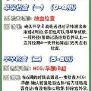 怀孕期间都需要做哪些检查（怀孕期间都需要做哪些检查项目）