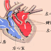 胎儿三房心（胎儿三房心需要引产吗）