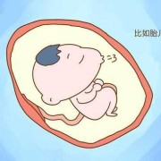 怀孕5个月有时胎动多，有时少，正常吗,孕妇五个月胎儿图片