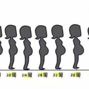 胎儿听歌（胎儿听歌胎动频繁）