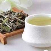 孕妇能喝安吉白茶吗？对胎儿有影响吗,孕期可以喝白茶吗女性