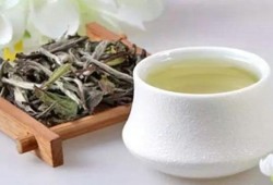 孕妇能喝安吉白茶吗？对胎儿有影响吗,孕期可以喝白茶吗女性