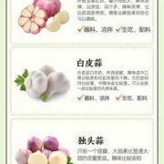 孕期可以吃葱姜蒜吗（子宫肌瘤能吃熟葱、熟蒜吗）