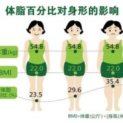 孕期体脂率（孕期体脂率）