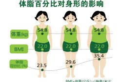 孕期体脂率（孕期体脂率）