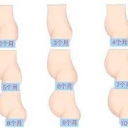 怀孕了的肚子有多大,孕期孩子大小对照图
