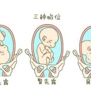 胎儿横径（胎儿横径是什么意思）