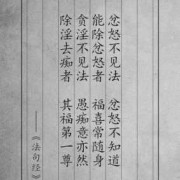 佛说胞胎经真是详细了开示了胎儿在母体中发育的全过程的经书吗,胎儿发育过程图视频