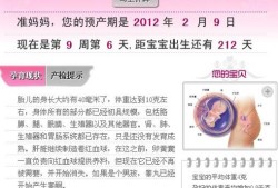 怎么算孕期天数（怎么算孕期天数是月经来的第一天还是最后一天）