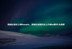 胎儿四维彩超图（四维彩超图片右上方的m和f什么意思）