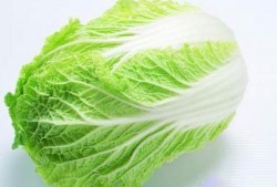 孕期梦见白菜（孕期梦见白菜什么意思）