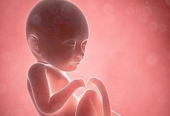 怀孕4个多月了胎儿图片（怀孕4个多月了胎儿图片大全）