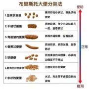 孕期大便变粗（孕妇大便很粗是什么原因）