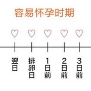 什么时候是最佳受孕期（什么时候是最佳受孕期早上还是晚上）