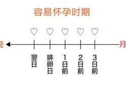 什么时候是最佳受孕期（什么时候是最佳受孕期早上还是晚上）