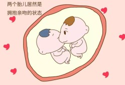 胎儿和妈妈面对面图片（胎儿和妈妈对着脸图片）