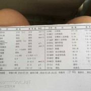孕妇尿检白细胞3十严重吗,孕期尿白细胞3个加号