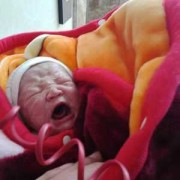 怀孕32周提前剖腹产宝宝能存活吗？我不知道应该要怎么办才好,32周的胎儿能存活吗?