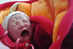 怀孕32周提前剖腹产宝宝能存活吗？我不知道应该要怎么办才好,32周的胎儿能存活吗?