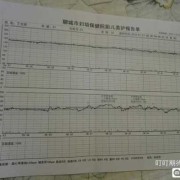 怀孕33周胎儿存活率（怀孕33周胎儿存活率有多大）