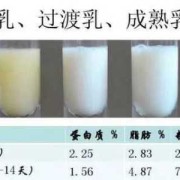 孕期初乳（孕期初乳什么时候出现）