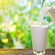 孕妇什么时间段喝牛奶最好？早上喝还是晚上喝好啊,孕期多喝牛奶的好处