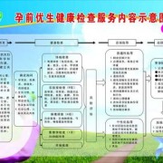 医学遗传与优生学基础知识点,孕期优生优育检查做哪些项目
