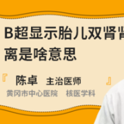胎儿双肾肾窦分离是否严重,胎儿双肾窦轻度分离是什么意思