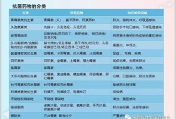 怀孕期间吃了消炎药怎么办,不知道怀孕吃了消炎药对胎儿有影响吗