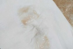 怀孕期间见红（怀孕期间见红是什么原因）