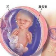 怀孕18周胎儿会缺氧吗（怀孕18周胎儿会缺氧吗）