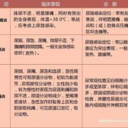 孕期尿痛（孕期尿痛怎么办）