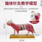 人的孕期是多少天（牛，羊，猪，狗，猫的孕期各是多少天）