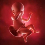 孕期宝宝图（孕期宝宝图片）