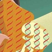 胎儿染色体异常原因（什么是染色体异常的孩子？染色体的孩子需要治疗吗）