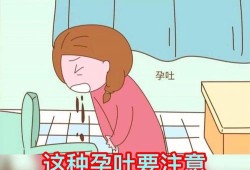 早孕期干呕（早孕期干呕是什么原因）