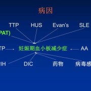 怀孕期间血小板减少是什么原因,孕期血小板偏低什么原因造成的